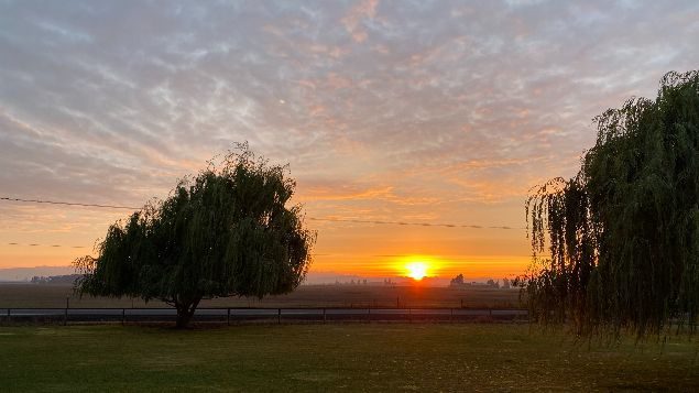 I Continue To Put My Faith In Jesus